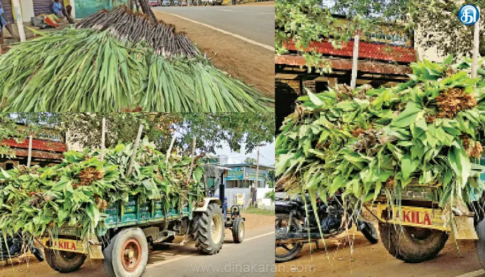 மாவட்டம் முழுவதும் களைகட்டியது பொங்கல் பண்டிகைக்கு கரும்பு, மஞ்சள் விற்பனை ஜோர்