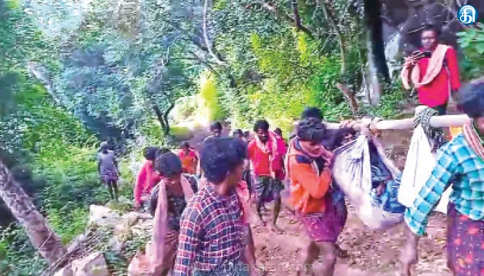பாம்பு கடித்தவரை தொட்டில் கட்டி தூக்கி சென்ற மலை கிராம மக்கள்