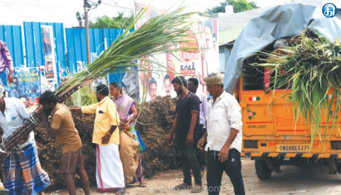 நெல்லை, தென்காசி, தூத்துக்குடியில் பொங்கல் பண்டிகைக்காக மார்க்கெட்களில் கரும்பு, பனங்கிழங்கு, மஞ்சள்குலைகள் குவிந்தன