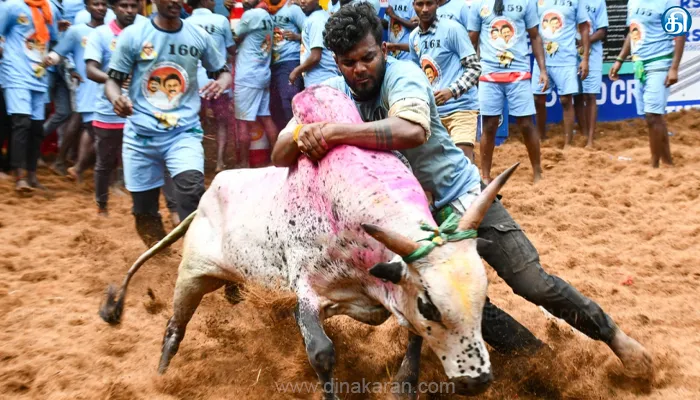 உலக புகழ் பெற்ற அலங்காநல்லூர் ஜல்லிக்கட்டு போட்டி நிறைவு