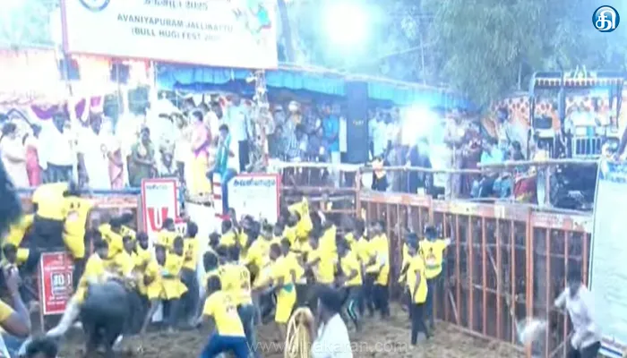 Avaniyapuram, madurai, Jallikattu