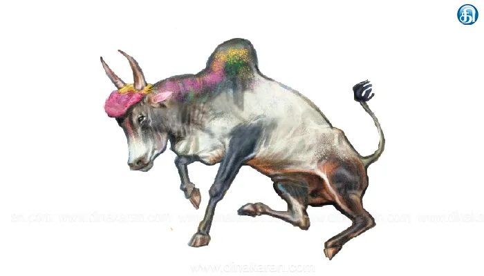 Jallikattu