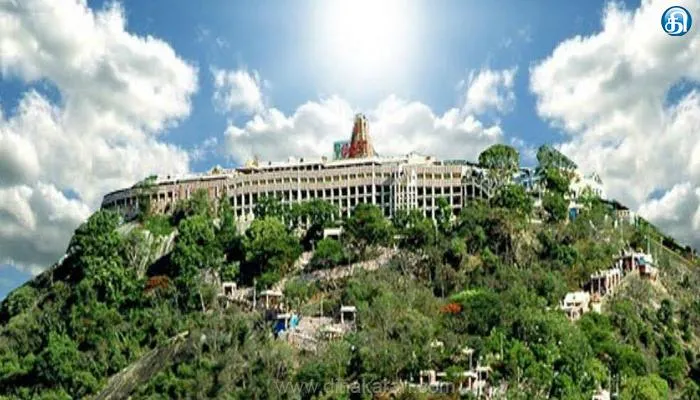 பழனி தண்டாயுதபாணி சுவாமி மலைக் கோயிலுக்கு அறங்காவலர் குழு நியமனம் செய்து தமிழக அரசு அரசாணை வெளியீடு