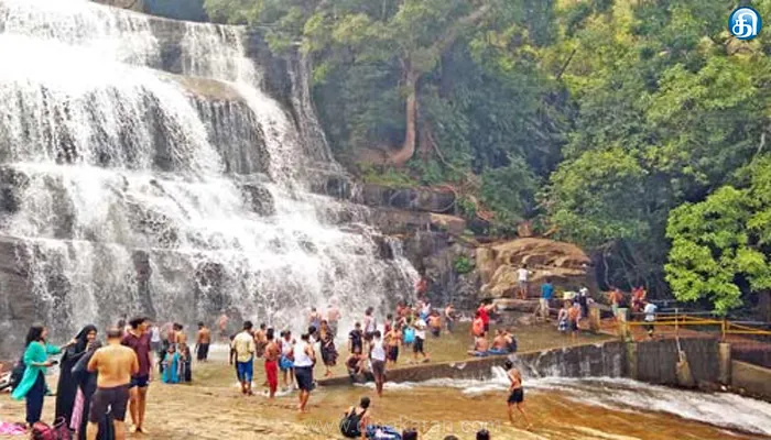 மேகமலை அருவியில் வெள்ளப்பெருக்கு காரணமாக குளிக்க தடை விதிப்பு!!