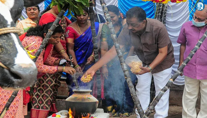 தமிழர் திருநாள் : தமிழகம் முழுவதும் பொங்கல் பண்டிகை கோலாகலமாக கொண்டாட்டம்