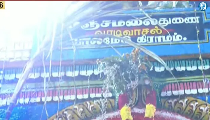 Palamedu,jallikattu