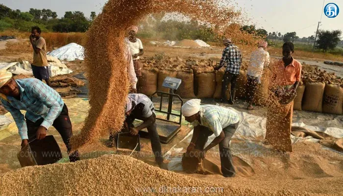 நெல் கொள்முதல் நிலையங்களில் கையூட்டு பெற்றால் விவசாயிகள் வாட்ஸ்அப் எண்ணில் புகார் தெரிவிக்கலாம்: நுகர்பொருள் வாணிபக் கழக மேலாண்மை இயக்குநர் தகவல்