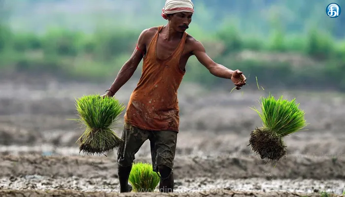 திருப்போரூர், சிட்லபாக்கம் வட்டாரத்தில் விவசாயிகளுக்கு அடையாள எண் வழங்கும் பணி தொடக்கம்