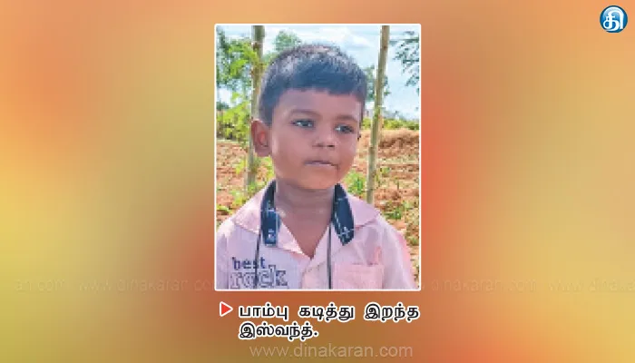 மானூர் அருகே 6 வயது சிறுவன் பாம்பு கடித்து பலி