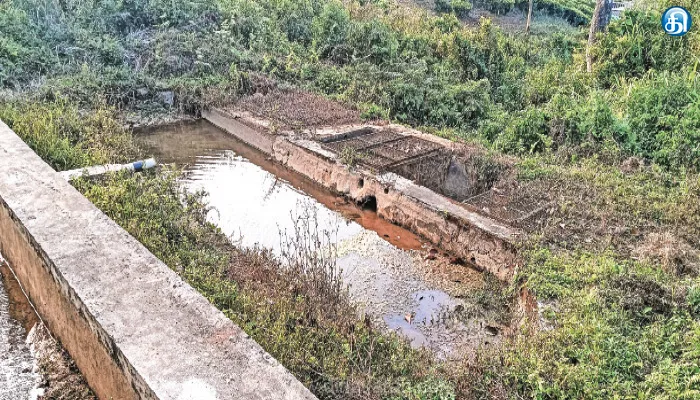 பந்தலூர் எம்ஜிஆர் நகரில் குடிநீர் தட்டுப்பாடு; தடுப்பணையை தூர்வாரி சீரமைக்க கோரிக்கை