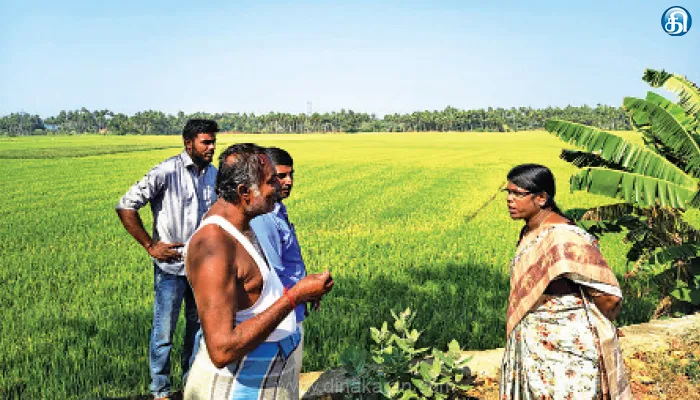 குன்னத்தாங்குளம், கல்படிகுளம், வண்ணான்குளம் மடைகளை சரிசெய்து தூர்வார நடவடிக்கை