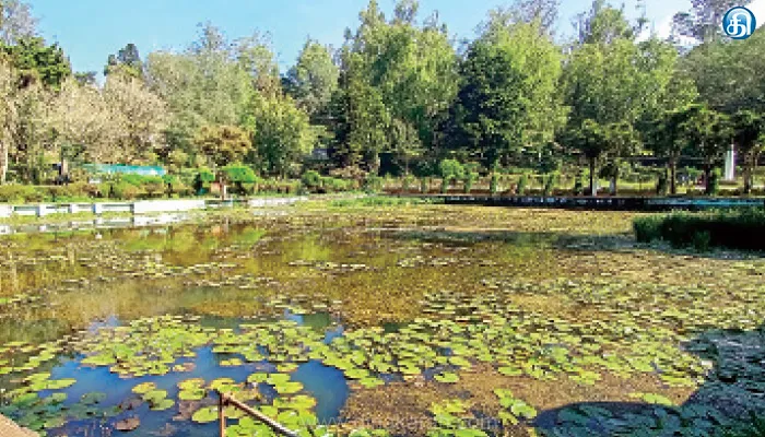 கொடைக்கானல் பிரையண்ட் பூங்காவில் நடன நீரூற்று மீண்டும் இயக்கப்படுமா?