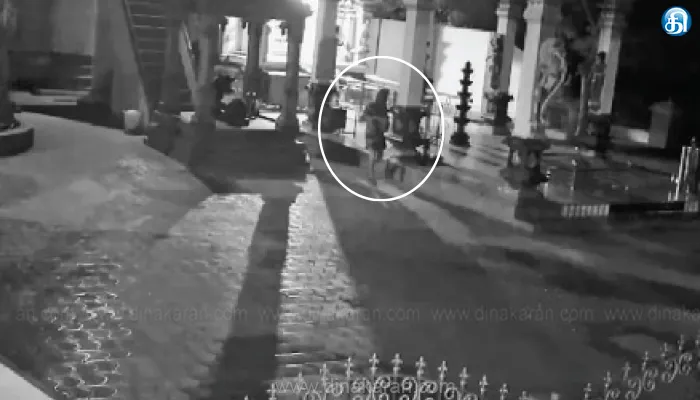 கருங்கல் அருகே கோயில் உண்டியலை பெயர்த்து சென்ற திருடன்: லாக்கரில் இருந்ததால் ரூ50 லட்சம் நகை தப்பியது