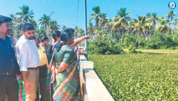 விவசாயிகள் எதிர்பார்ப்பு; ஏவிஎம் கால்வாய் தூர்வாரப்படுமா?.. நீரோடி பகுதியில் கலெக்டர் ஆய்வு