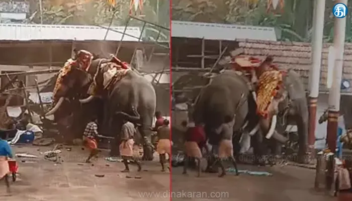 யானை தாக்கி 2 பேர் பலி வயநாட்டில் முழு அடைப்பு போராட்டம்