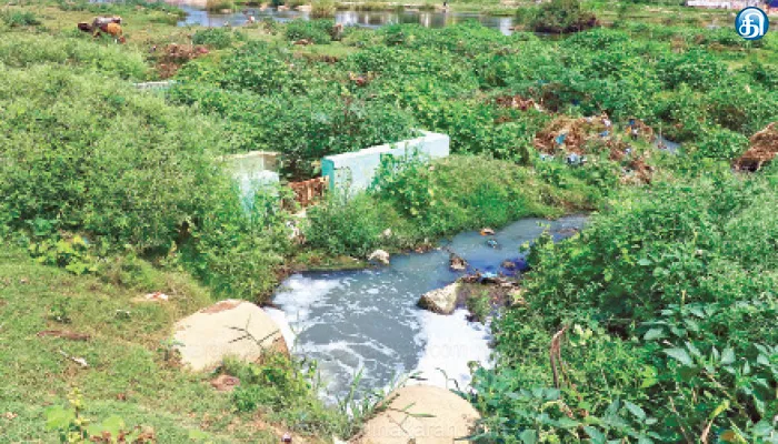 நெல்லை உடையார்பட்டி பகுதியில் தாமிரபரணி ஆற்றில் கழிவுநீர் கலப்பு தடுக்கப்படுமா?.. துர்நாற்றத்தால் பொதுமக்கள் அவதி