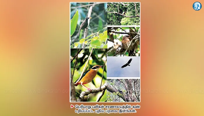 பெரியாறு புலிகள் சரணாலயத்தில் கணக்கெடுப்பு அழியும் அபாயத்தில் 16 பறவை இனங்கள்