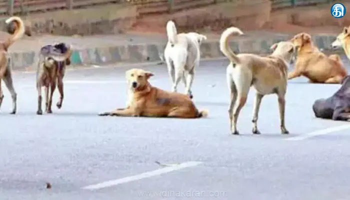 சிறுவர்களை கடித்த தெரு நாயை பிடிக்கும் நடவடிக்கையில் மாநகராட்சி ஈடுபட்டு வருகிறது: சென்னை மாநகராட்சி