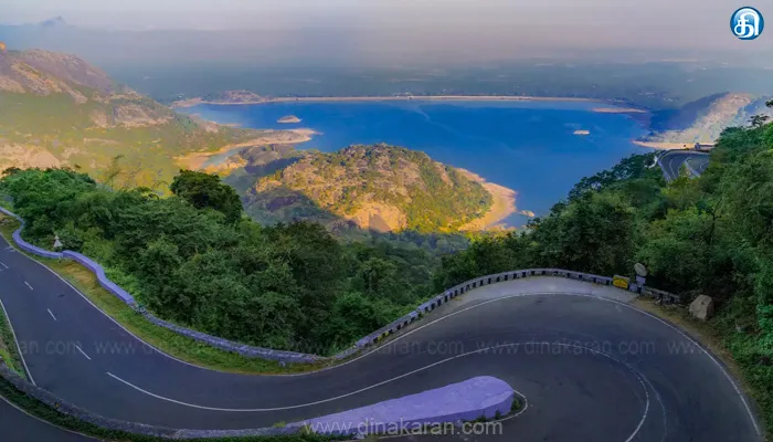 ஆழியார்- வால்பாறை மலைப்பாதையில் விலங்குகள் நடமாட்டம்: வாகனங்களை மெதுவாக இயக்க வேண்டும்: வனத்துறையினர் அறிவுறுத்தல்