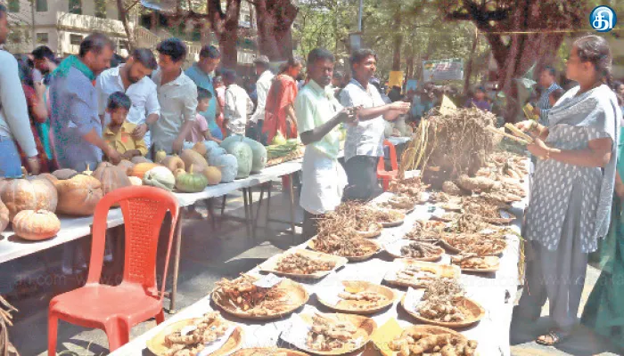 வேலூரில் ஆர்வமுடன் பார்வையாளர்கள் திரண்டனர் பாரம்பரிய காய்கறி, கிழங்குகள் கண்காட்சி
