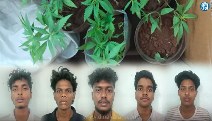 கோவையில் கஞ்சா செடி வளர்த்த மாணவர்கள் கைது..!!