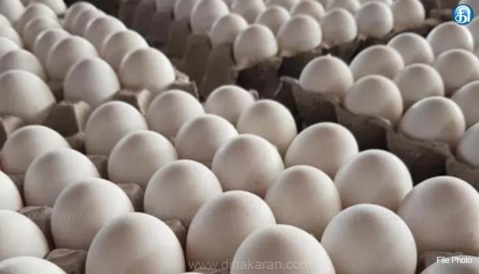 முட்டை விலை 440 காசாக குறைப்பு