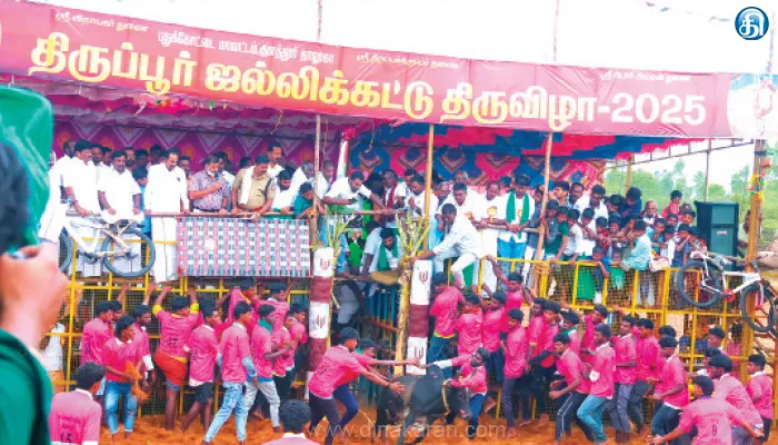 கீரனூர் அடுத்த திருப்பூரில் ஜல்லிக்கட்டு; 750 காளைகள் அதகளம்: 200 வீரர்கள் மல்லுக்கட்டு