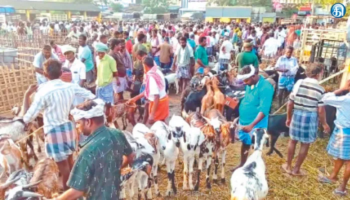 ரம்ஜான் பண்டிகையை முன்னிட்டு எட்டயபுரம் சந்தையில் ரூ.6 கோடிக்கு விற்பனை