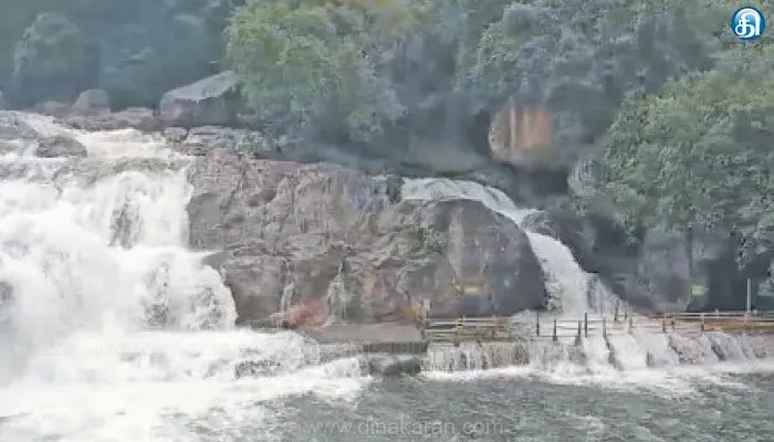 மேற்கு தொடர்ச்சி மலைப்பகுதியில் தொடர் மழை; அகஸ்தியர் அருவியில் குளிக்க தடை: சுற்றுலா பயணிகள் ஏமாற்றம்