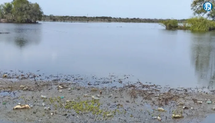 கண்மாய் நிறைய தண்ணீர் இருந்தும் விவசாயத்தில் ஆர்வம் காட்டாத விவசாயிகள்