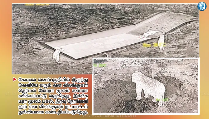 இரவு நேரங்களில் வனப்பகுதியில் இருந்து வெளியேறும் காட்டு யானைகள் தெர்மல் கேமரா மூலம் கண்காணிப்பு