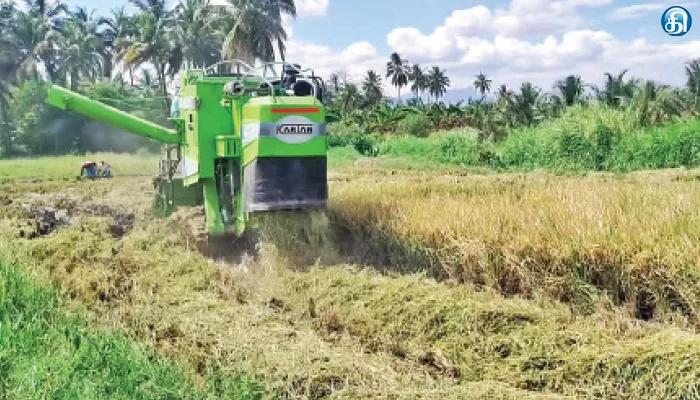உத்தமபாளையம் சுற்றுவட்டார பகுதிகளில் இரண்டாம் போக நெல் அறுவடை பணிகள் ‘ஸ்பீடு’