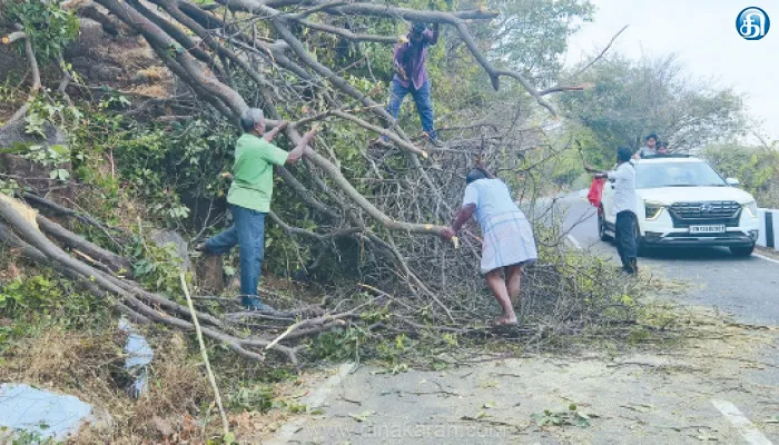 ஏலகிரி மலைப்பாதையில் சாய்ந்த மரம் அகற்றம்