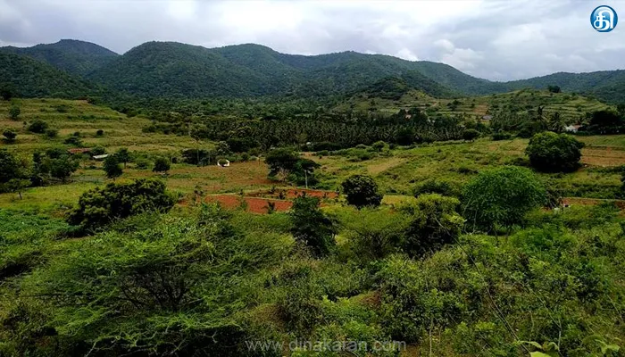 இன்று உலக காடுகள் தினம்: 5 வகை காடுகளை பாதுகாக்க தமிழ்நாடு அரசு கடும் முயற்சி