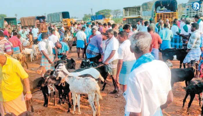 ரம்ஜானை முன்னிட்டு சமயபுரம் சந்தையில் ரூ.2 கோடி ஆடு விற்பனை
