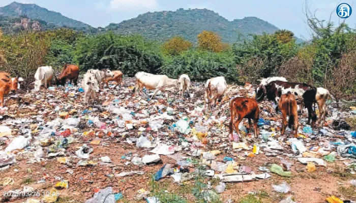 சேரன்மகாதேவி கொழுந்துமாமலையடிவாரத்தில் மீண்டும் கொட்டப்படும் பிளாஸ்டிக் கழிவுகள்