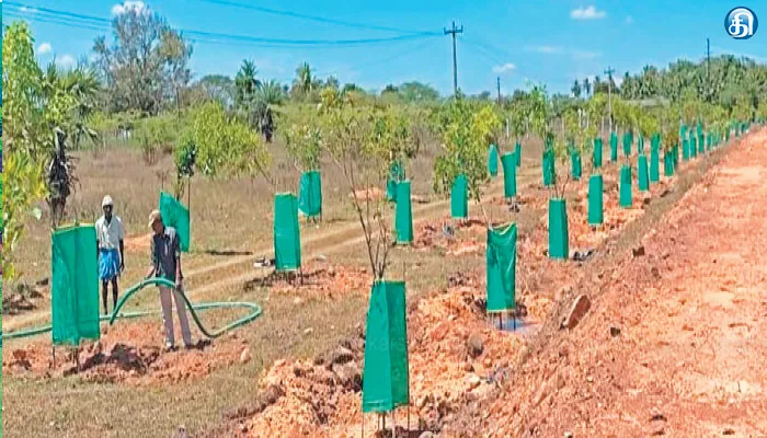 thiruvalankadu, arakonam