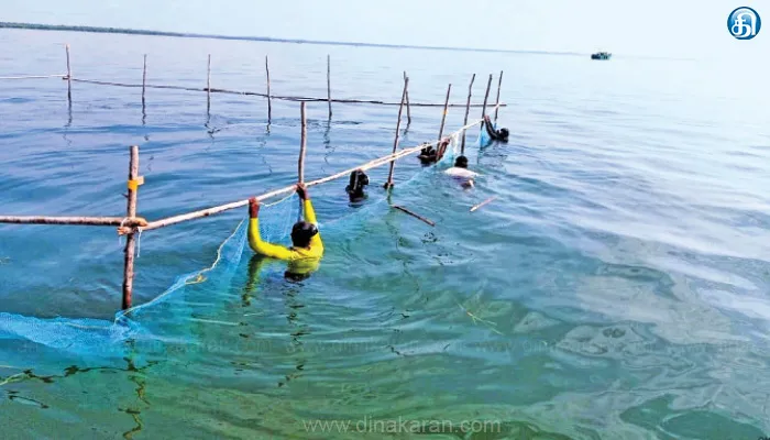 தஞ்சாவூர் அருகே 1000 சதுர மீட்டரில் கடல்தாழை நடவு பணி