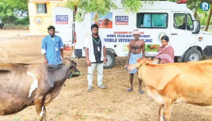 நடமாடும் கால்நடை மருத்துவ வாகனங்கள் மூலம் மாவட்டத்தில் 2,462 முகாம்களில் 33,221 கால்நடைகளுக்கு சிகிச்சை