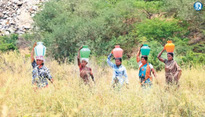 100 நாள் வேலைத்திட்டத்தில் ஊதியம் கிடைக்காதபோதும் மரங்களை காப்பாற்ற போராடும் மதவக்குறிச்சி பெண்கள்