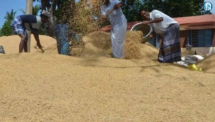 மெகா கொள்முதல் நிலையங்களில் தினசரி 200 மெட்ரிக் டன் நெல் கொள்முதல்: சட்டசபையில் அமைச்சர் சக்கரபாணி தகவல்