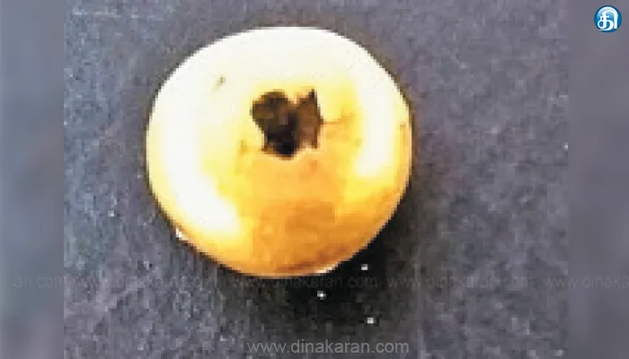 வெம்பக்கோட்டை அகழாய்வில் தங்கத்தில் செய்த மணி கண்டெடுப்பு