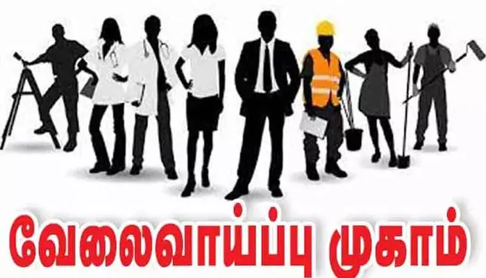 தி.மு.க ஆட்சியில் 309 பெரிய அளவிலான வேலைவாய்ப்பு முகாமில் 2,49,392 பேர் பணிநியமனம்: சட்டசபையில் அமைச்சர் சி.வெ.கணேசன் தகவல்