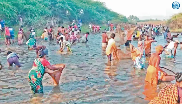 மேலூர் அருகே பாரம்பரிய மீன்பிடி திருவிழா: கட்லா, கெண்டை மீன்களை அள்ளிச்சென்றனர்