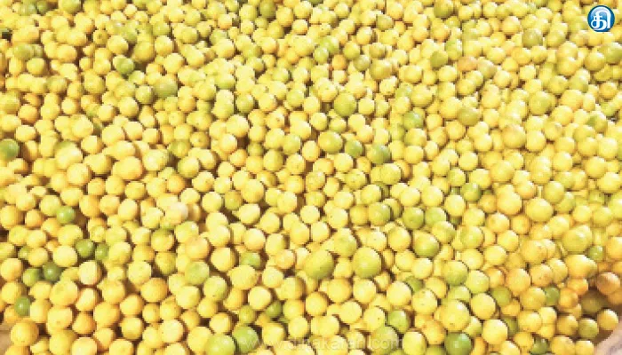ஒட்டன்சத்திரம் மார்க்கெட்டில் எலுமிச்சை விலை உயர்வு