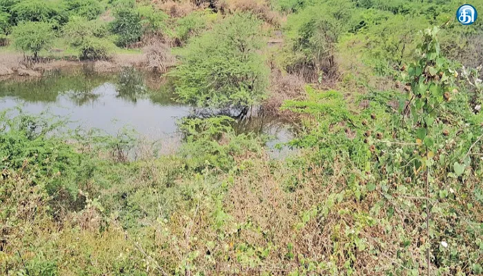 தர்மபுரி அருகே தொடர் மழை பெய்தும் வறண்டு கிடக்கும் பெரியேரி: தூர்வார விவசாயிகள் கோரிக்கை
