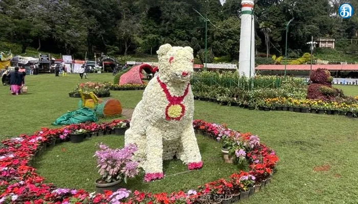 கொடைக்கானலில் 62-வது மலர் கண்காட்சி தொடங்கியது!!