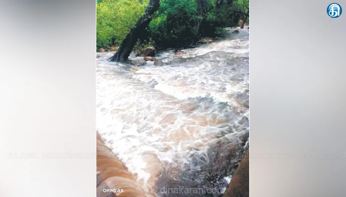 கனமழையால் நீர்வரத்து அதிகரிப்பு; திருக்குறுங்குடி திருமலைநம்பி கோயிலுக்கு செல்ல தடை: தலையணையில் குளிக்க அனுமதி மறுப்பு