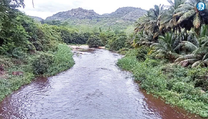 நீர்ப்பிடிப்பு பகுதிகளில் கொட்டுது மழை; பெரியாறு அணை நீர்மட்டம் 4 நாள்களில் 4 அடி உயர்வு: 5 மாவட்ட விவசாயிகள் மகிழ்ச்சி