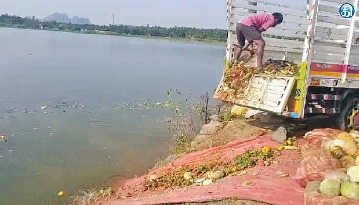 கிருஷ்ணகிரி மாவட்டத்தில் விலை வீழ்ச்சியால் மீன்களுக்கு உணவாகும் காய்கறிகள்
